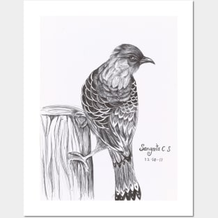 Bird pen art Posters and Art